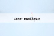 土耳巴西？ 巴西和土耳其军力？