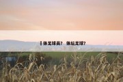 祼体足球员？ 体坛足球？