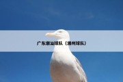 广东潮汕球队（潮州球队）