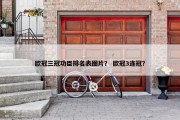 欧冠三冠功臣排名表图片？ 欧冠3连冠？