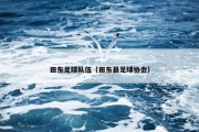 田东足球队伍（田东县足球协会）