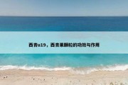 西青u19，西青果颗粒的功效与作用