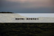 狗双手拜仁（狗子双手合十）