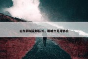 山东聊城足球队长，聊城市足球协会