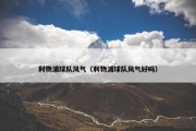 利物浦球队风气（利物浦球队风气好吗）