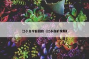 江小白今日回放（江小白的视频）