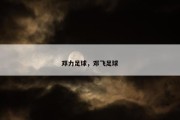 邓力足球，邓飞足球