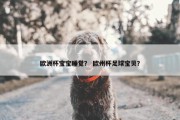 欧洲杯宝宝睡觉？ 欧州杯足球宝贝？