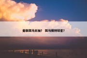 曼联斑马长袖？ 斑马模特球星？