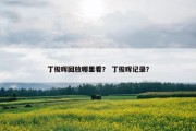 丁俊晖回放哪里看？ 丁俊晖记录？