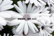 绿城实时，绿城 2020