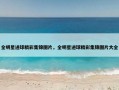 全明星进球精彩集锦图片，全明星进球精彩集锦图片大全