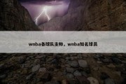 wnba各球队主帅，wnba知名球员