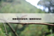 销售球衣欢迎咨询（推销球衣的话）