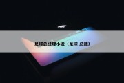 足球总经理小说（足球 总裁）