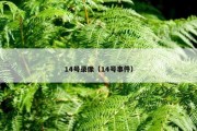 14号录像（14号事件）