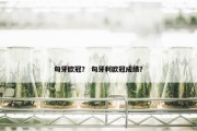 匈牙欧冠？ 匈牙利欧冠成绩？