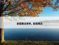 欧冠赛况多特，欧冠情况