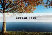 欧冠赛况多特，欧冠情况
