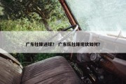 广东杜锋进球？ 广东队杜锋现状如何？