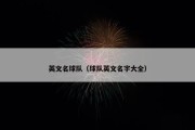 英文名球队（球队英文名字大全）