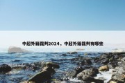 中超外籍裁判2024，中超外籍裁判有哪些