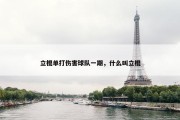 立棍单打伤害球队一期，什么叫立棍