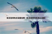 实况足球亮点设置在哪（实况足球光标怎么设置）