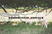 欧冠在哪里看今年积分榜，欧冠积分怎么看