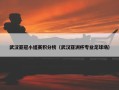 武汉亚冠小组赛积分榜（武汉亚洲杯专业足球场）