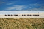 曼城球员情况介绍图文？ 曼城球员情况介绍图文版？