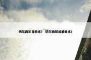 切尔西年青教练？ 切尔西球员兼教练？