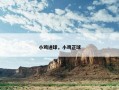 小鸡进球，小鸡正球
