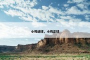 小鸡进球，小鸡正球