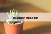 拜仁后腰最棒？ 拜仁后腰名宿？
