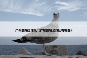 广州聋哑足球队（广州聋哑足球队有哪些）