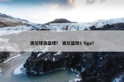 波兰球员篮球？ 波兰篮球1 liga？