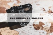 嘉兴市足球草坪图片大全，嘉兴市足球场
