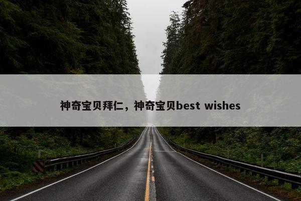 神奇宝贝拜仁，神奇宝贝best wishes