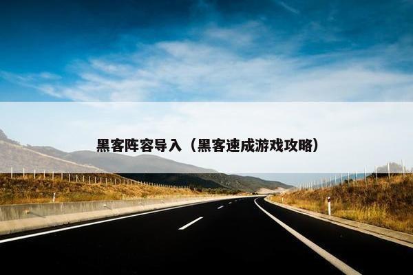 黑客阵容导入（黑客速成游戏攻略）