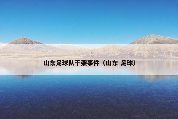 山东足球队干架事件（山东 足球）