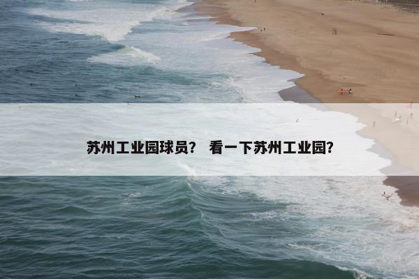 苏州工业园球员？ 看一下苏州工业园？