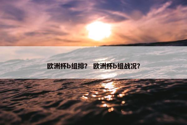 欧洲杯b组排？ 欧洲杯b组战况？