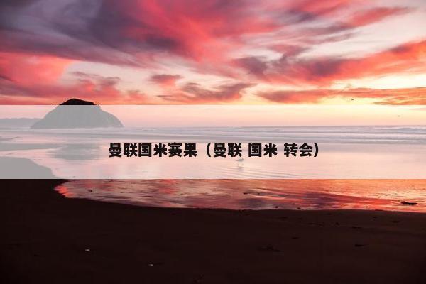 曼联国米赛果（曼联 国米 转会）