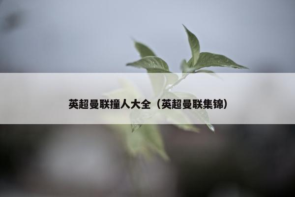 英超曼联撞人大全（英超曼联集锦）