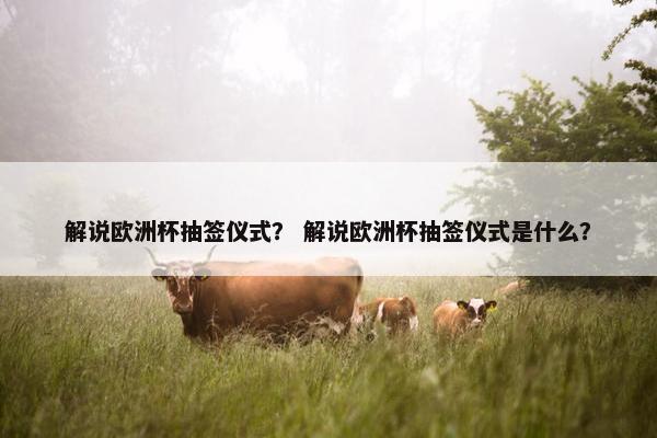 解说欧洲杯抽签仪式？ 解说欧洲杯抽签仪式是什么？