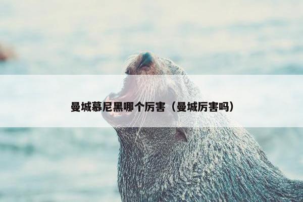 曼城慕尼黑哪个厉害（曼城厉害吗）