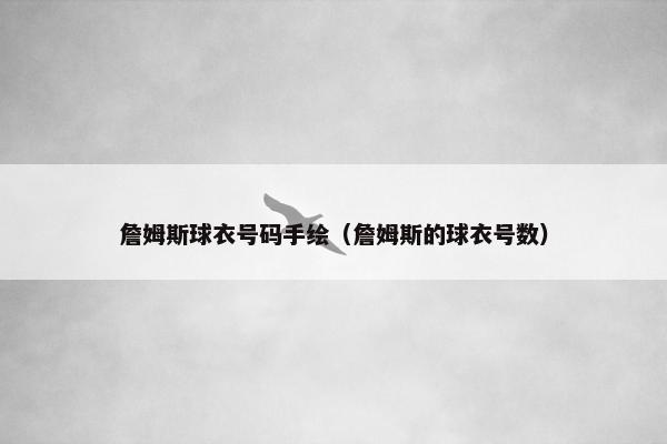 詹姆斯球衣号码手绘（詹姆斯的球衣号数）