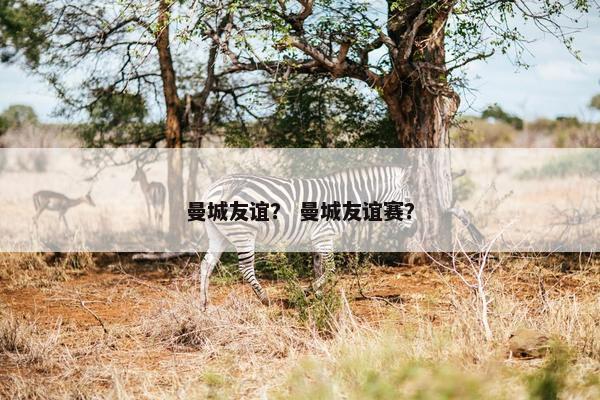曼城友谊？ 曼城友谊赛？