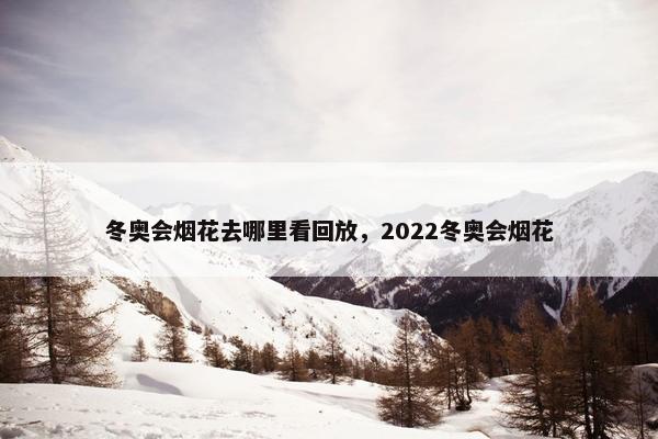 冬奥会烟花去哪里看回放，2022冬奥会烟花